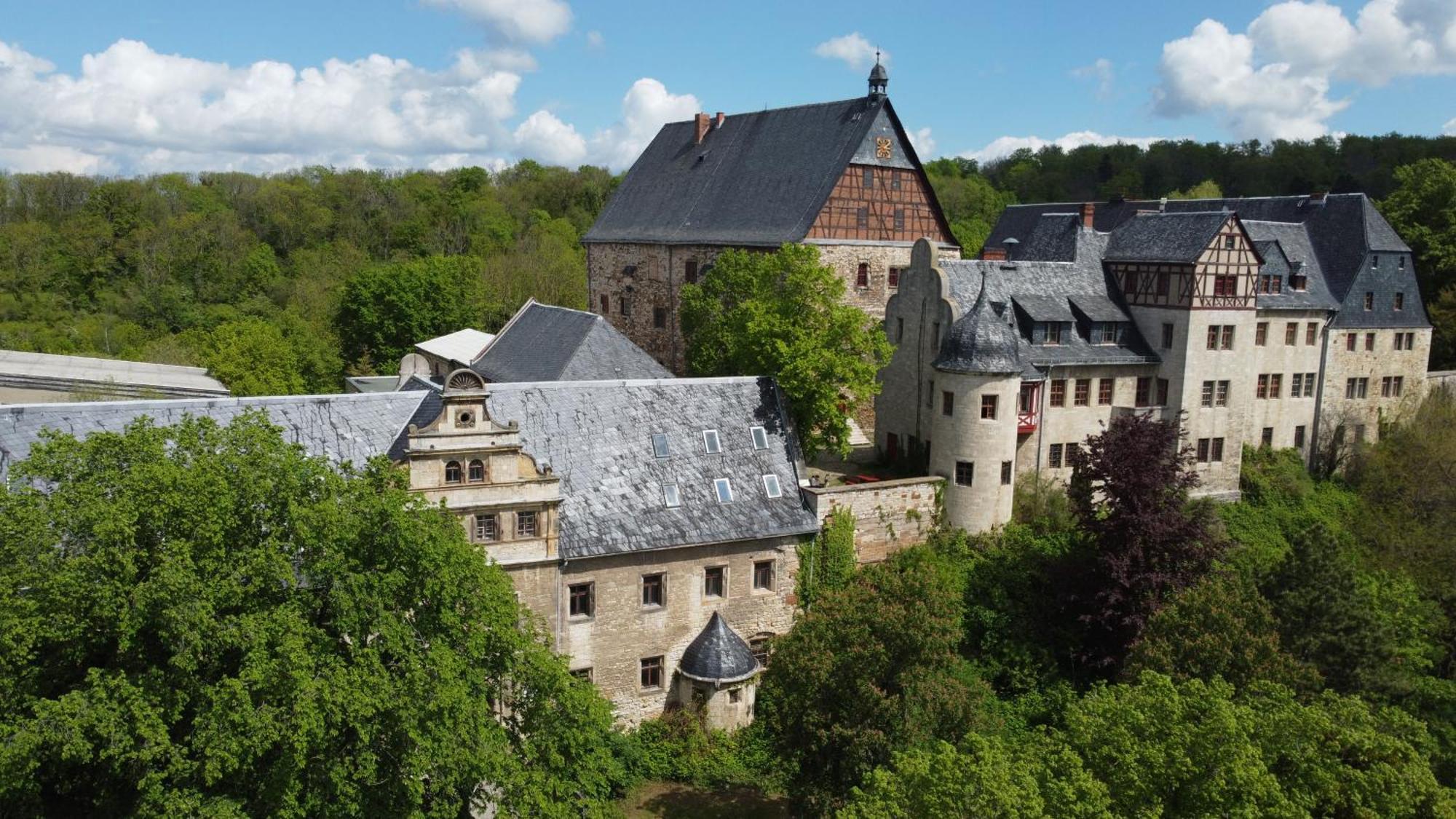 Schloss Beichlingen Екстериор снимка