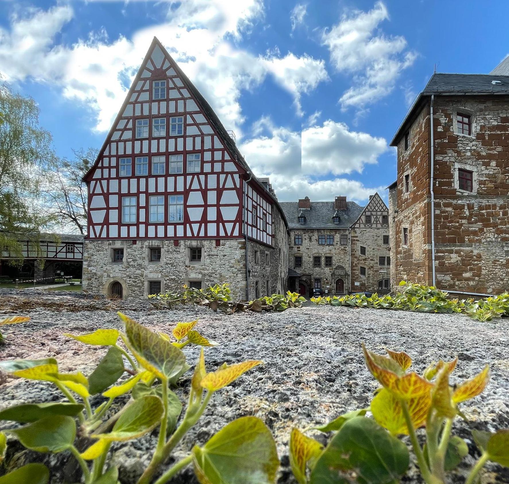 Schloss Beichlingen Екстериор снимка