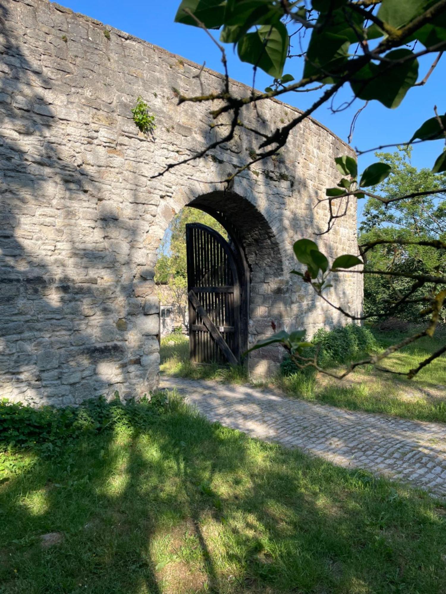 Schloss Beichlingen Екстериор снимка