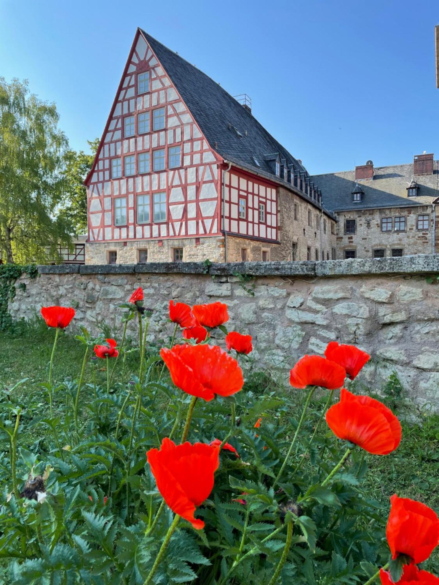 Schloss Beichlingen Екстериор снимка