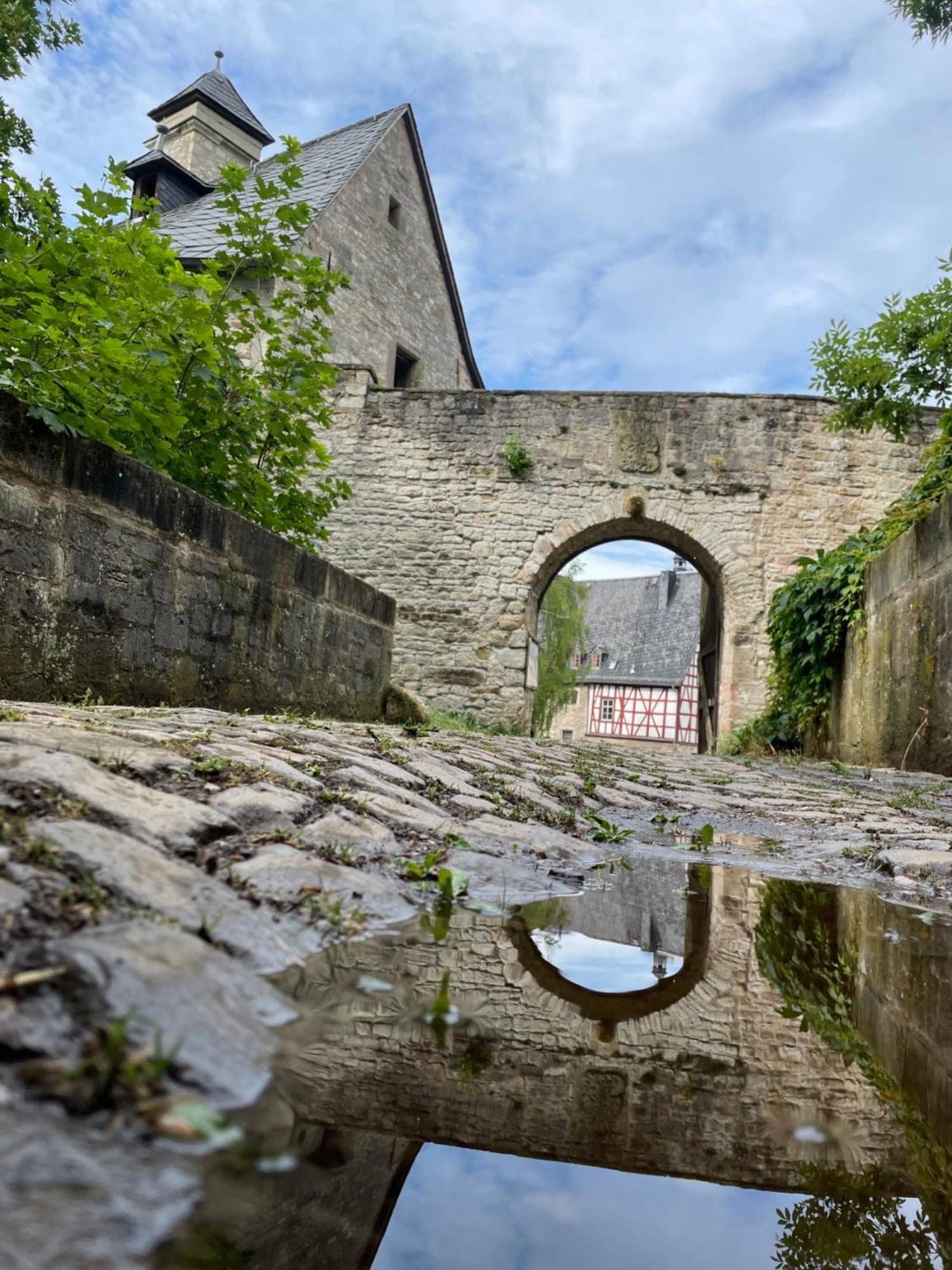Schloss Beichlingen Екстериор снимка