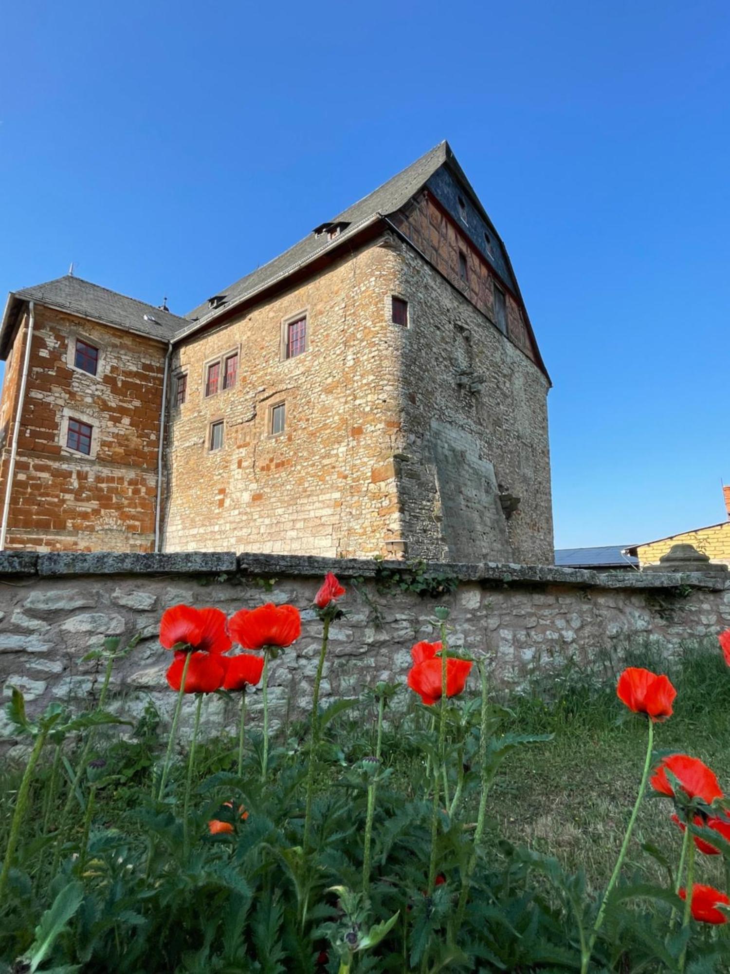Schloss Beichlingen Екстериор снимка