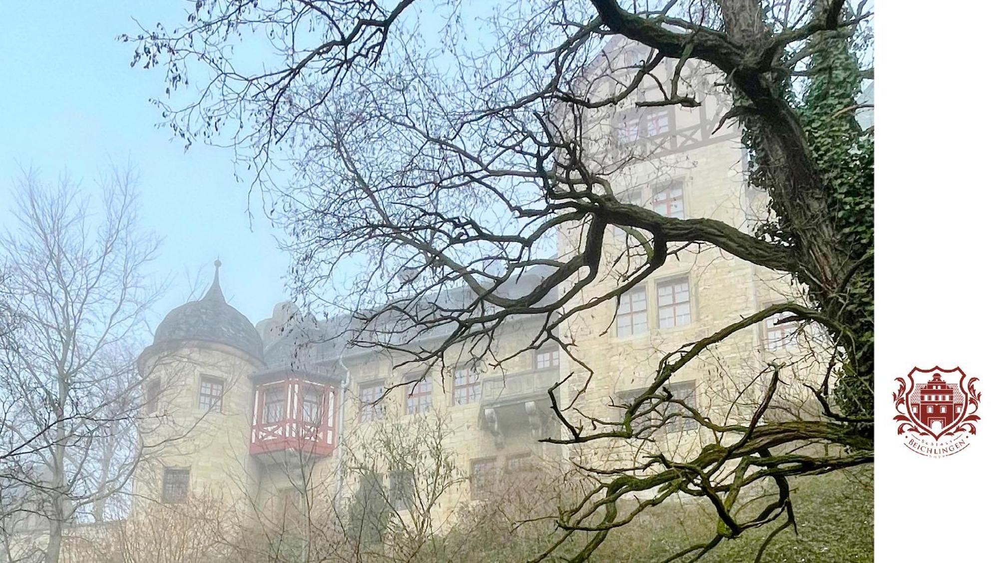 Schloss Beichlingen Екстериор снимка