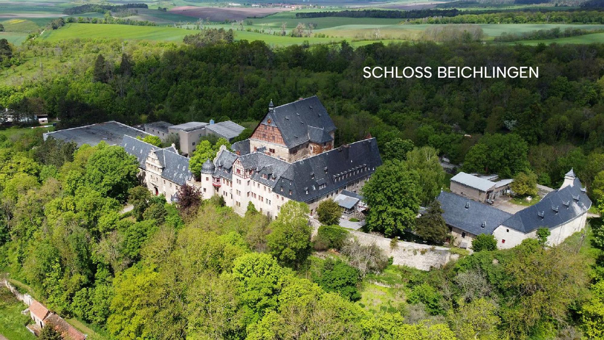 Schloss Beichlingen Екстериор снимка